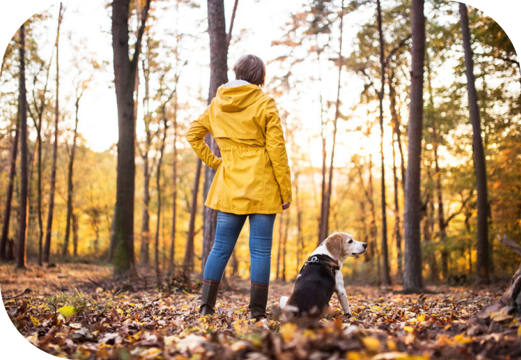 Woman with dog on a walk in an autumn forest