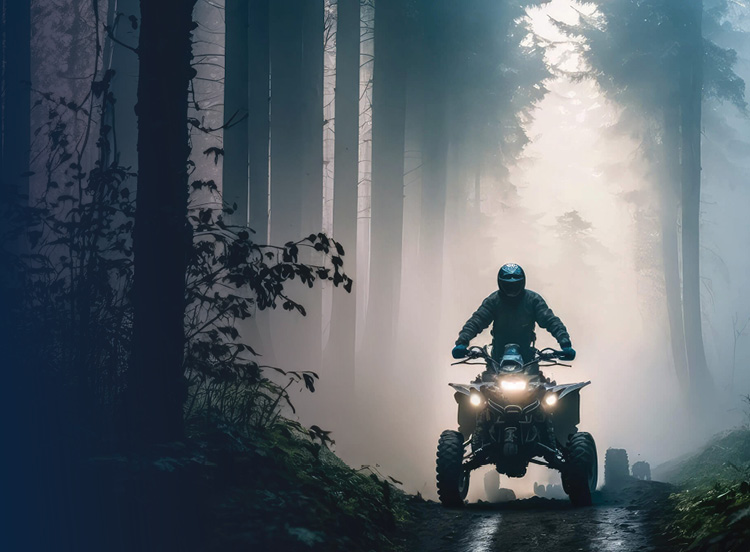 ATV being driven through a forest.